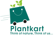 Buy indoor house plants,  flowers,  shrubs,  seeds online | PlantKart