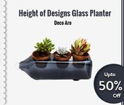 Heights of Design Glass Planters 