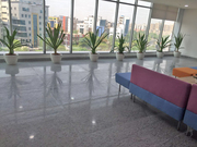Indoor Plants on Rent for Corporate Offices in Gurgaon .