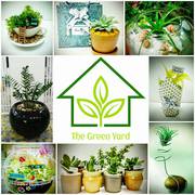 Best Plant Nursery in Bangalore - Garden Accessories for Sale