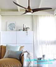 Luxury wooden fan