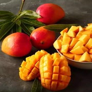 The Alphonso mango