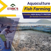 Aquaculture Fish Farming Company In India