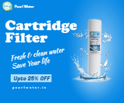 Environment Day Deals!! Free Shipping!! Buy 10-inch Cartridge Filter
