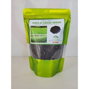 Buy COFS-31 GRASS SEEDS Fodder Sorghum online | Pioneer