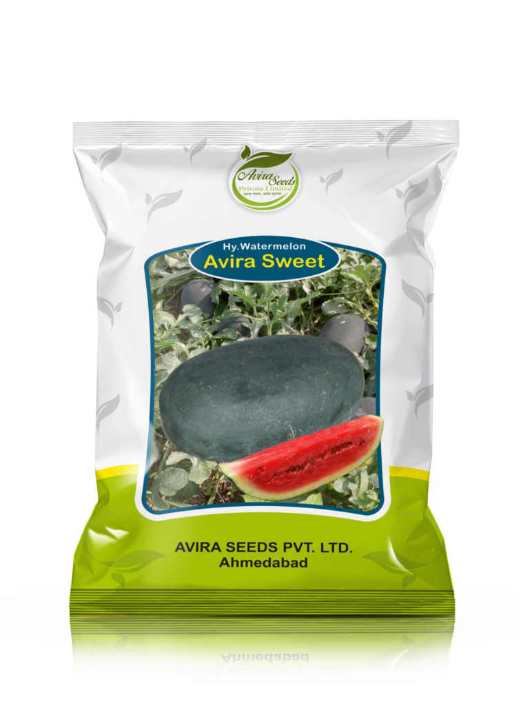 Buy best watermelon variety in India